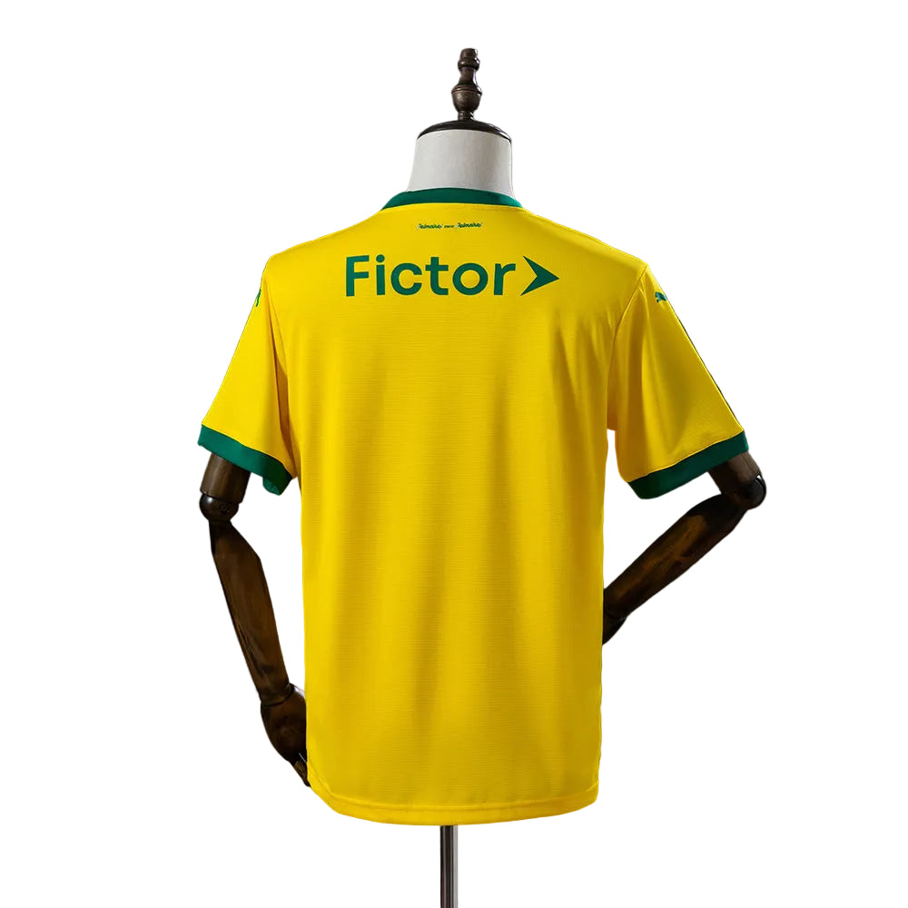 Palmeiras Soccer Jersey 2025/2026 – AWAY - MALE - PUMA
