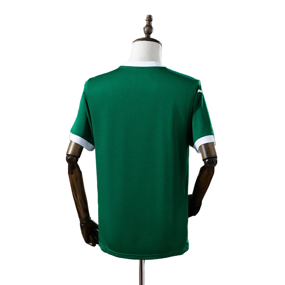 Palmeiras Soccer Jersey 2025/2026 – HOME - MALE - PUMA